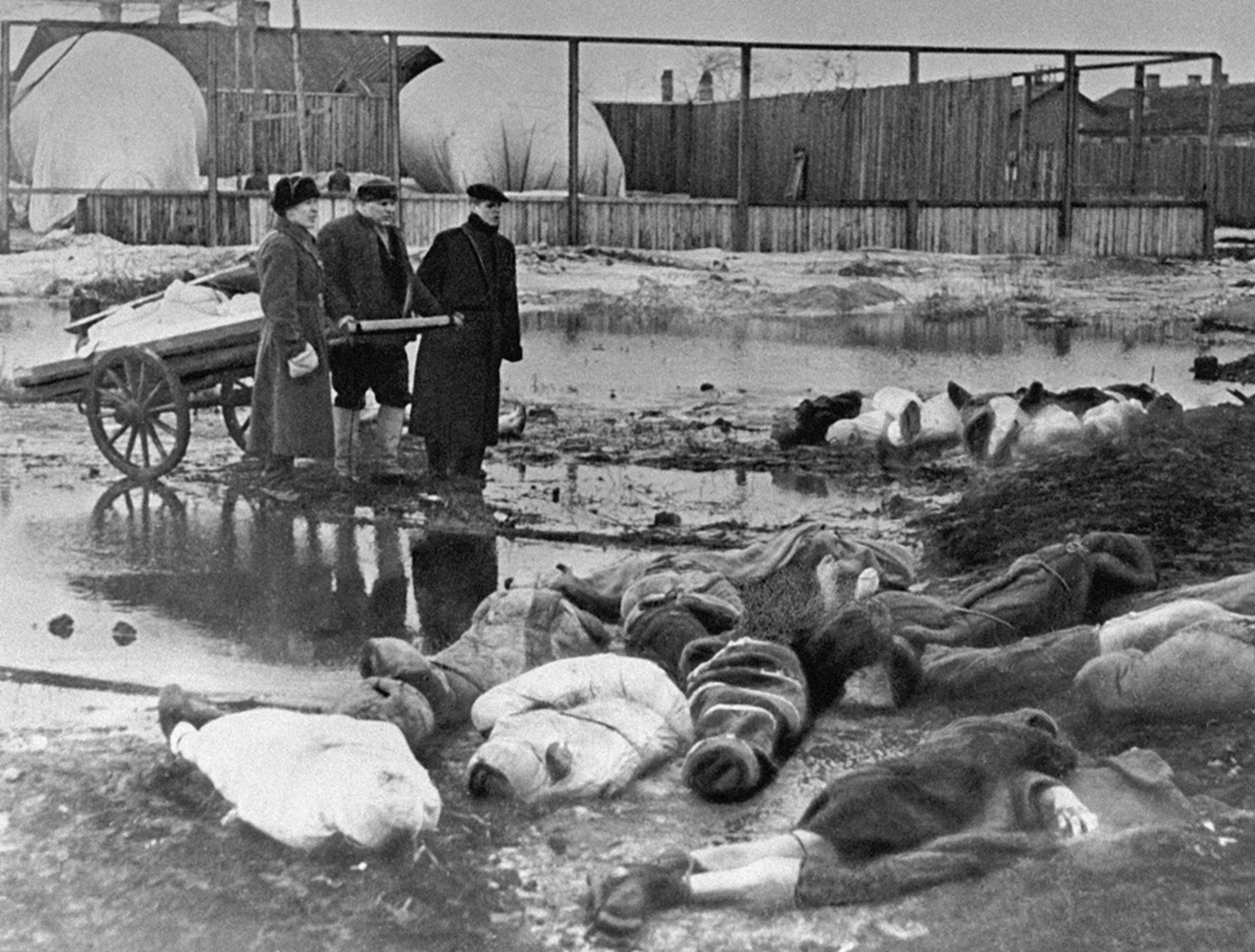 Burying the dead during the Siege of Leningrad. Source